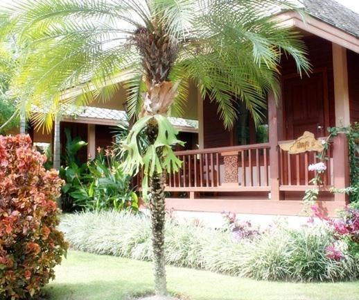 Pai Herbs Resort Oda fotoğraf