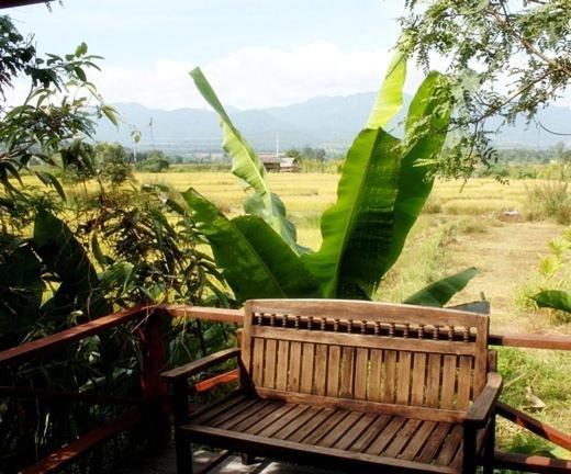 Pai Herbs Resort Oda fotoğraf
